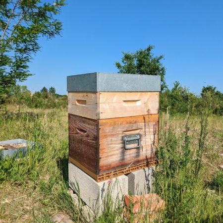 ruche dadant 10 cadres sur notre rucher proche de Fontainebleau
