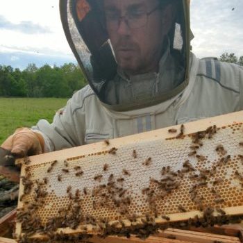 Apiculteur à la récolte du miel