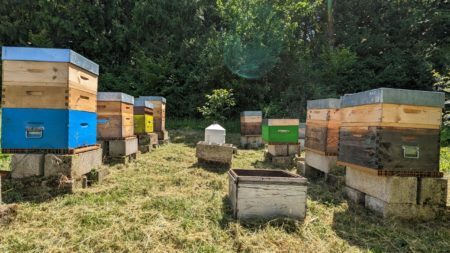 photos de ruche avec les hausse sur un rucher situé dans le Gâtinais