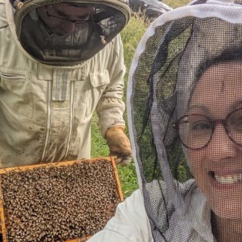 travail des apiculteurs dans une ruche